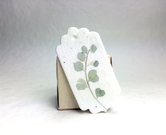 Eucalyptus Wildflower Seed Paper Gift Tag - Set Of 12 3" Long By 1.5