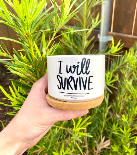 I Will Survive Succulent Planter | Flower Pot Plant Lady Funny Planters Plants Cactus