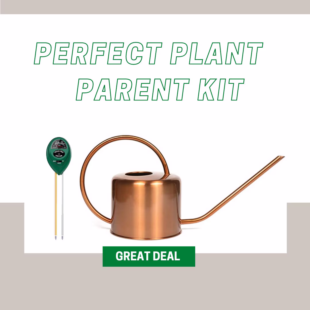 Watering Can With Moisture Meter | Perfect Plant Parent