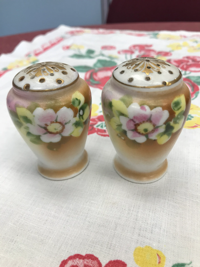 Vintage Nippon Hand Painted Salt & Pepper Shaker Set
