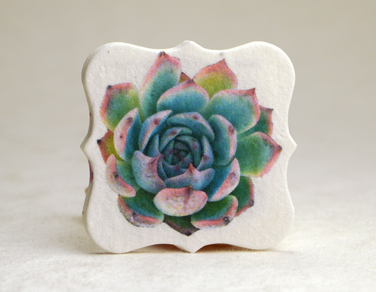 Succulent Watercolor Art | Wildflower Seed Paper Tags 1.75