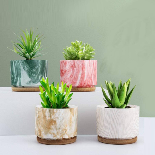 Pack Of Four Mini Colorful Succulent Plant Pots