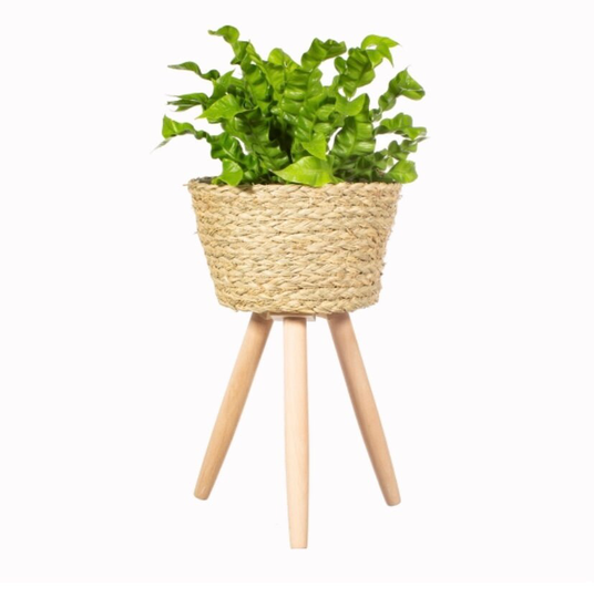 Large Basket Planter, Planter On Legs, Woven Legs