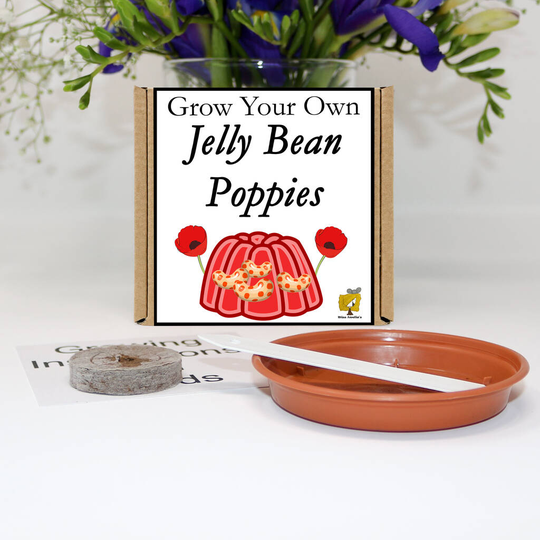 Grow Your Own Jelly Bean Poppy Flowers Gift Set
