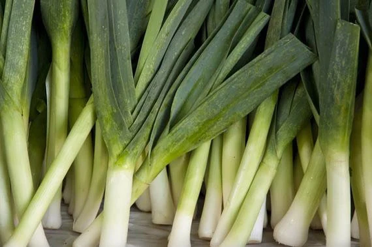 Leek "American Flag