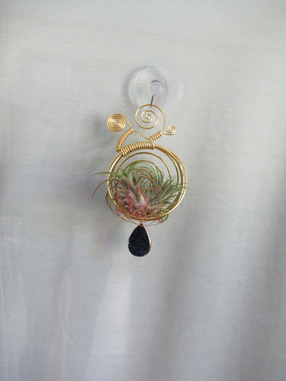 Window Wire Air Plant Hanger Medium Gold - Tillandsia