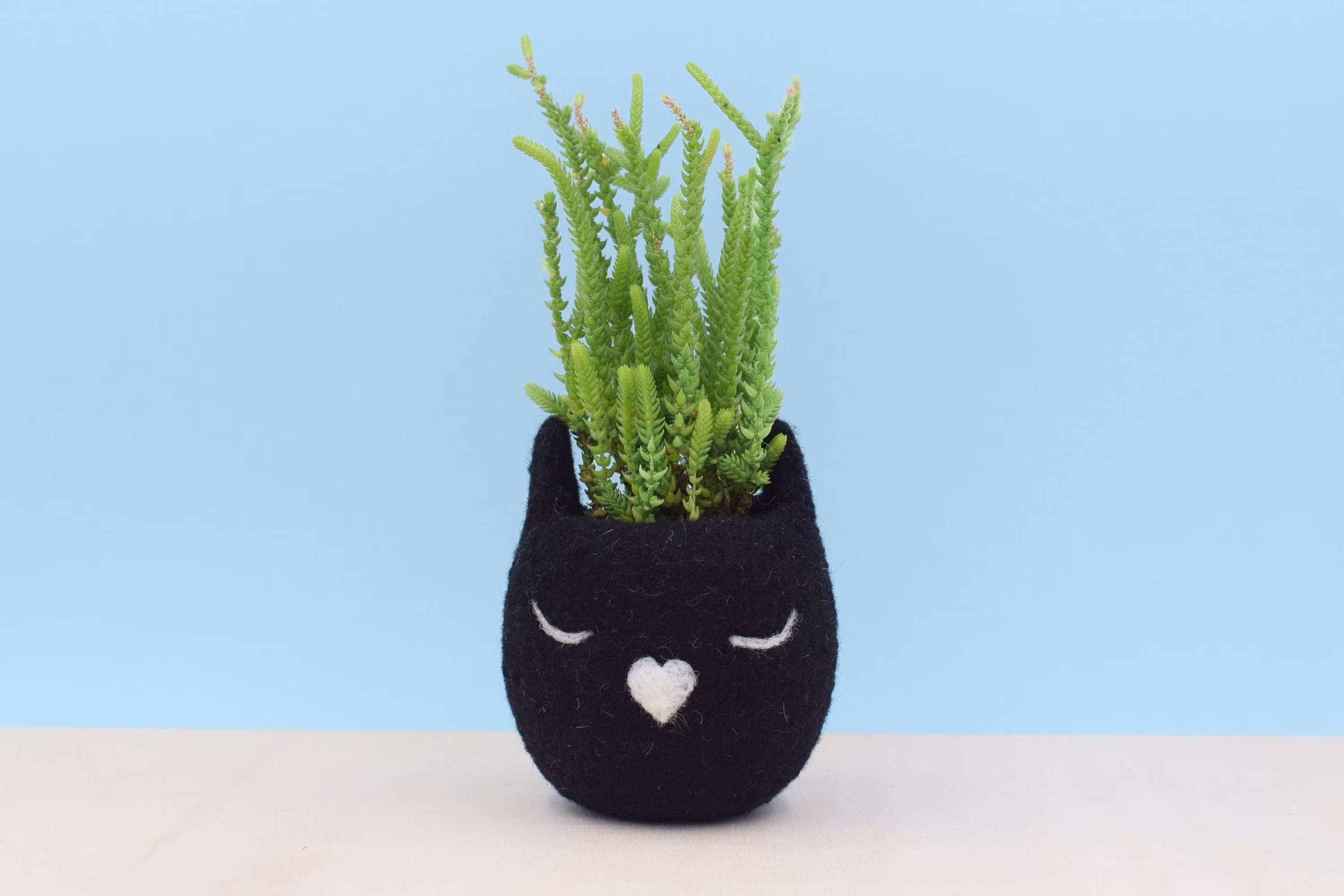 Black Cat Lover Planter, Pet Accessories, Mom Gift For Her, Animal Christmas Pet Owners, Unique Succulent Planter