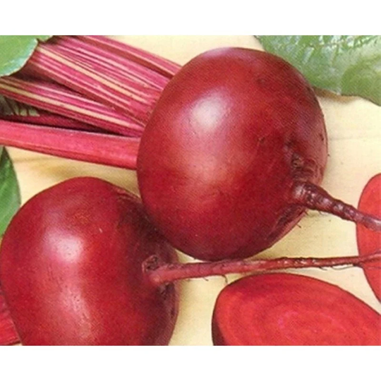 Beetroot Nesravnennaya Seeds Heirloom Non Gmo For Planting | 202864