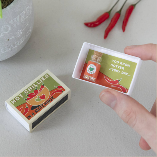 Grow Your Own Chilli Plant Gift