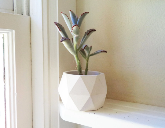 Geometric Succulent Planter, Desk Decor, Cactus Pot, Dorm Housewarming Gift, Simple, Modern, Clean, Minimalist