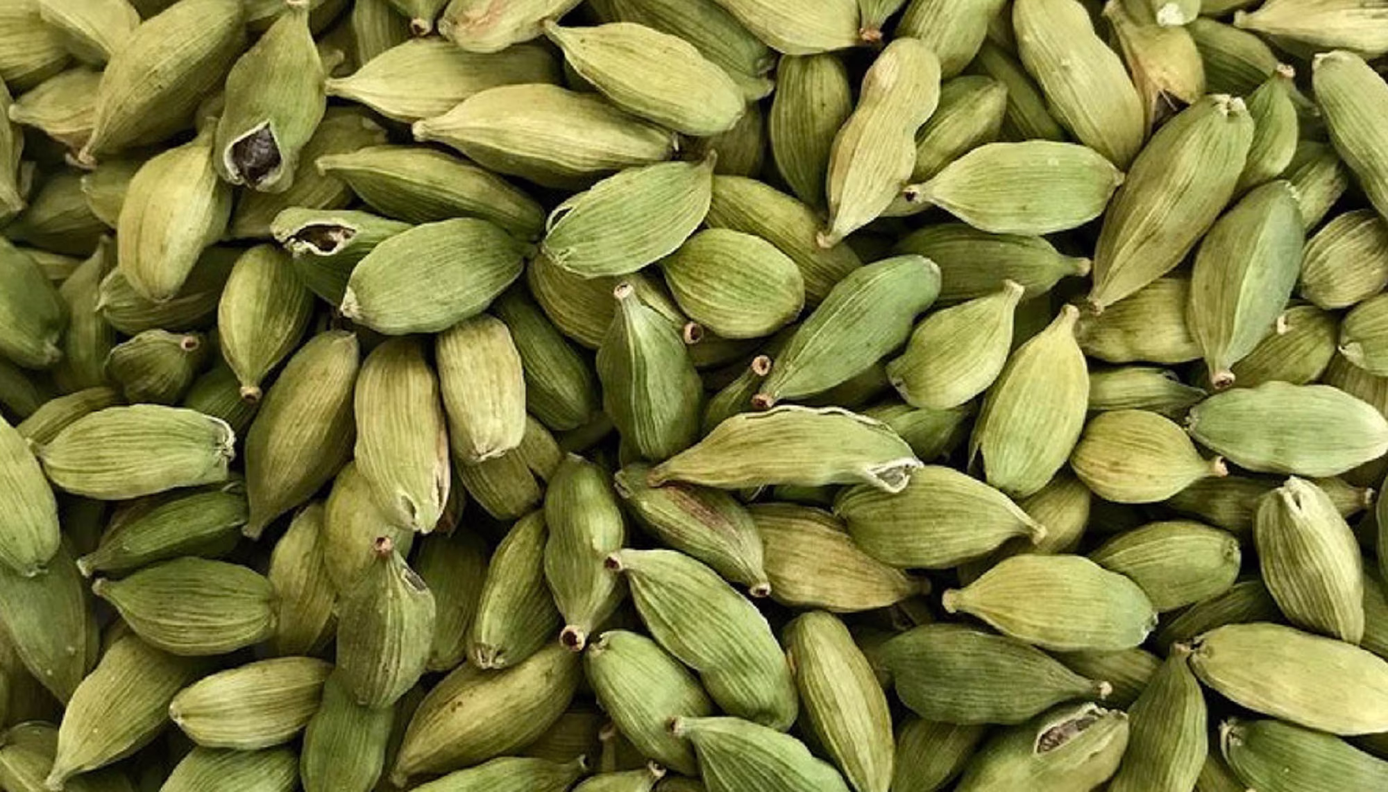 Cardamom Ceylon Organic Green Fresh Pods-Pure Natural From Holy Land