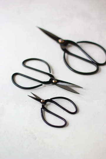 Vintage Finish Black Bonsai Garden Shears | Scissors Small 4"/Medium 6" Large 8