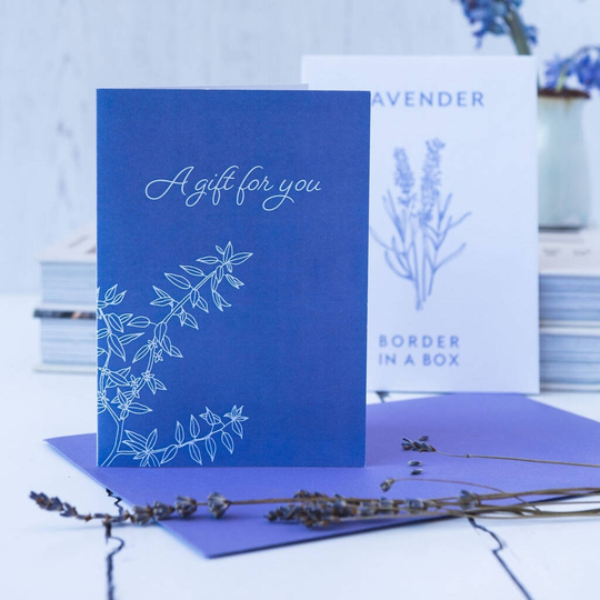 Letterbox Gift Lavender Seeds And Card