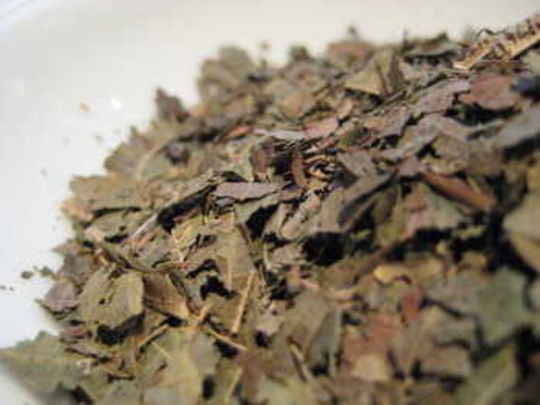 Black Walnut Leaf - Cut Herb & Powdered Juglans Nigra