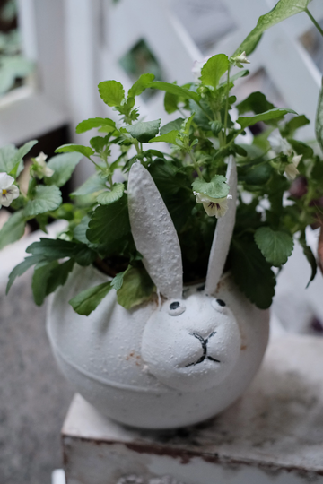 Vintage White Bunny Plant Holder Flowers Planter Pot All Chic UK