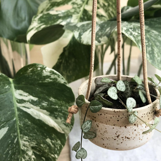 Sara/Handmade Hanging Planter, Ceramic Flower Pot Indoor, Cork Macrame Plant Hanger For Succulents, Lover Gift