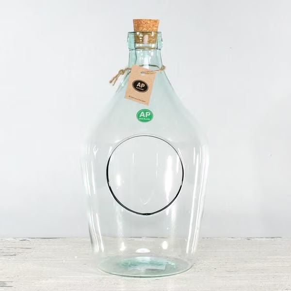 Recycled Demi-John Vase | 26cm Terrarium Glass Container For Cacti, Succulents & Indoor Planting - Fast & Free UK Delivery