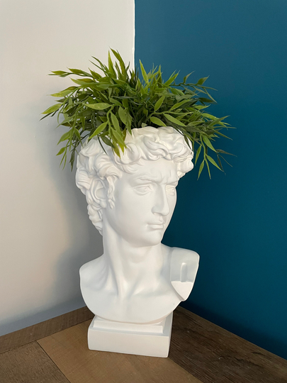 David Face Head Plant Pot Planter Statue Vase Nordic Resin Planter Large Size