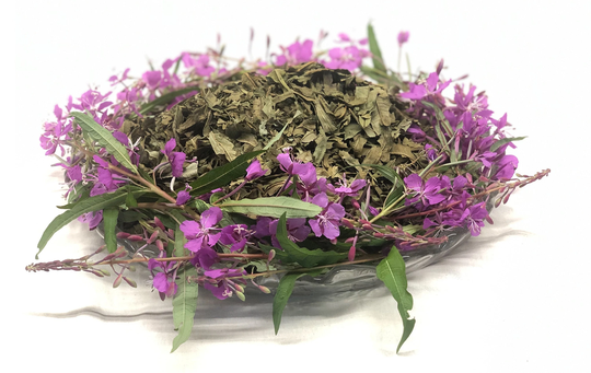 Alaska's Wild Fireweed Herb