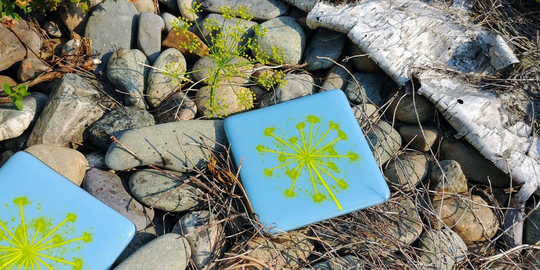 Blue Fused Glass Dill Art Accent Tile Coasters