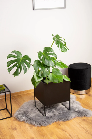 Large Planter With Stand - Ural Xl Black