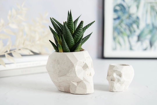 Geometric Skull Concrete Plant Pots, Two Sizes & Multiple Colours Available
