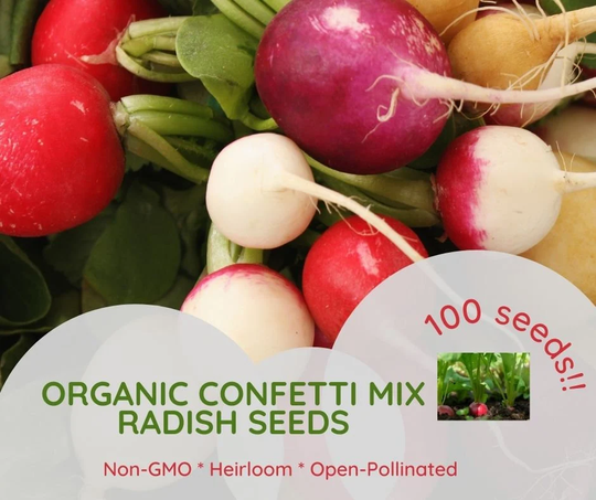 75 Organic Confetti Mix Radish Seeds Heirloom Non-Gmo