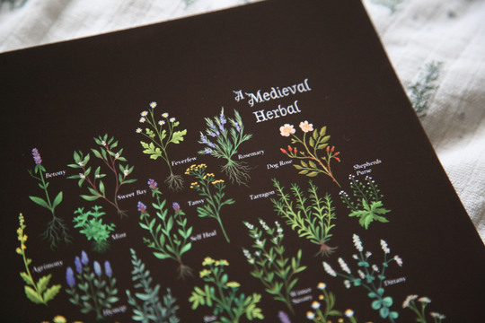 A Medieval Herbal - Digital Print Botanical Magical Herbs Herb Garden Historic Physic Medicinal Plants