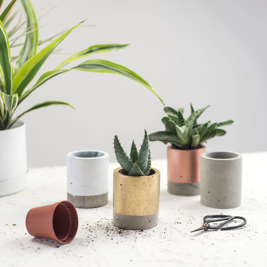 Set Of Three Small Concrete Colour Block Plant Pot - Planter Cactus Planter Succulent Pots