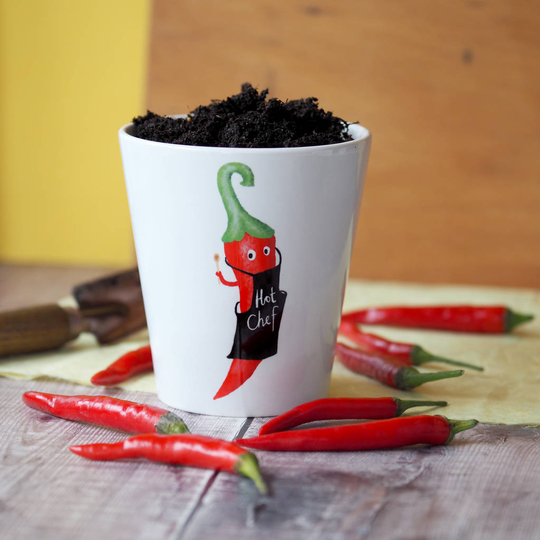 Hot Chilli Chef Plant Pot With Chilli Seeds
