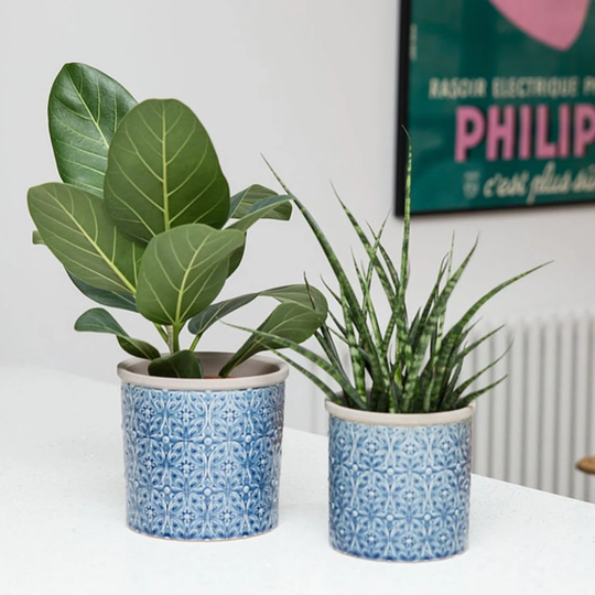 Porto Blue Gloss Glazed With Matte Rim Ceramic Planter/Indoor Plant Pot