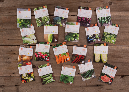 Top 20 Vegetable & Herb Seed Packets - Kitgift For Eco-Friendly Gardener Non-Gmo Seeds Carrots Beans Peppers Greens Radish Corn