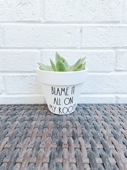 Blame It All On My Roots Plant Pot, Funny Punny Planter, Cute Gift Idea, Garden, Valentine's Gift, Anniversary