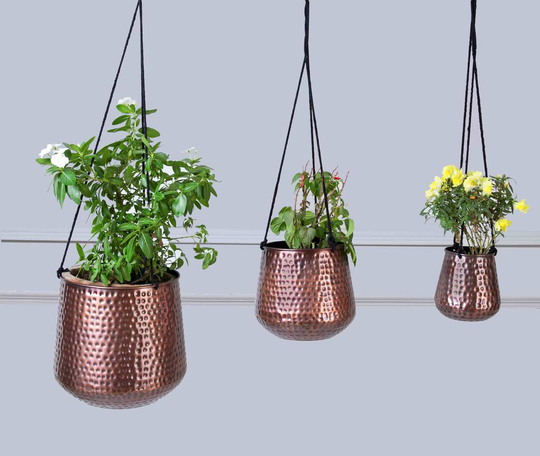 Dark Copper Hanging Indoor Planters 'Lila'