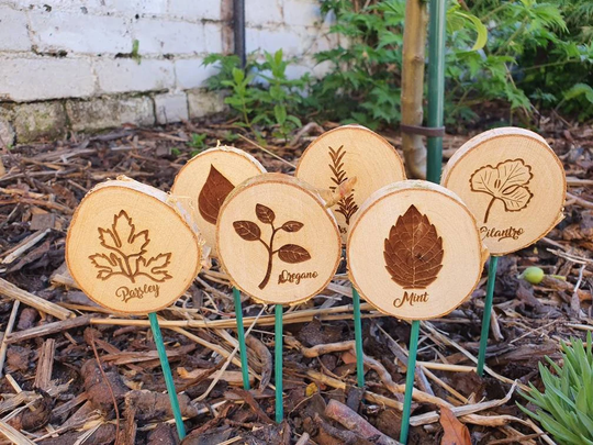 Herb Markers Laser Engraved With Plant Design - Engraved Herb Names On Wooden Disk