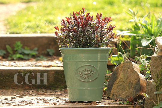Small Round Planter Pot Garden Olive Green Stone Look 22.5cm Outdoor Patio Tub