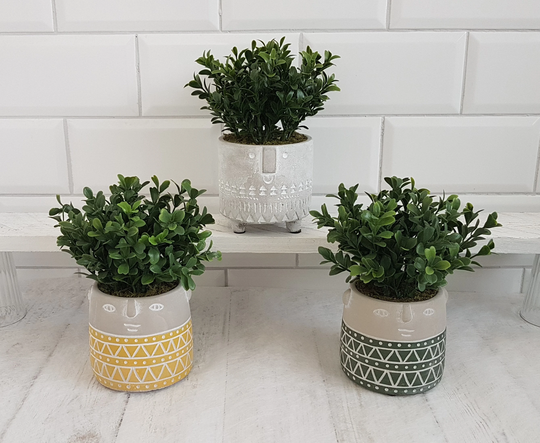 Faux Plant in Pot Artificial Green Boxwood Concrete Stone Face Realistic Houseplant Indoor Planter Box Gisela Graham Fake