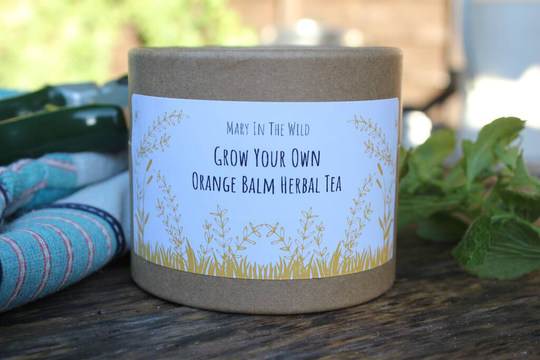 Grow Your Own Orange Balm Tea