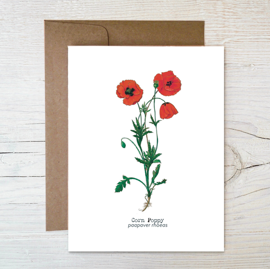 Plantable Wildflower Seed Card ~ Botanical Greeting Painted Image Of Corn Poppies Eco Friendly Blank Inside