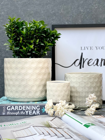Grey/White Ceramic Honeycomb Plant Pots, Patterned Indoor Glazed Decorative Pot