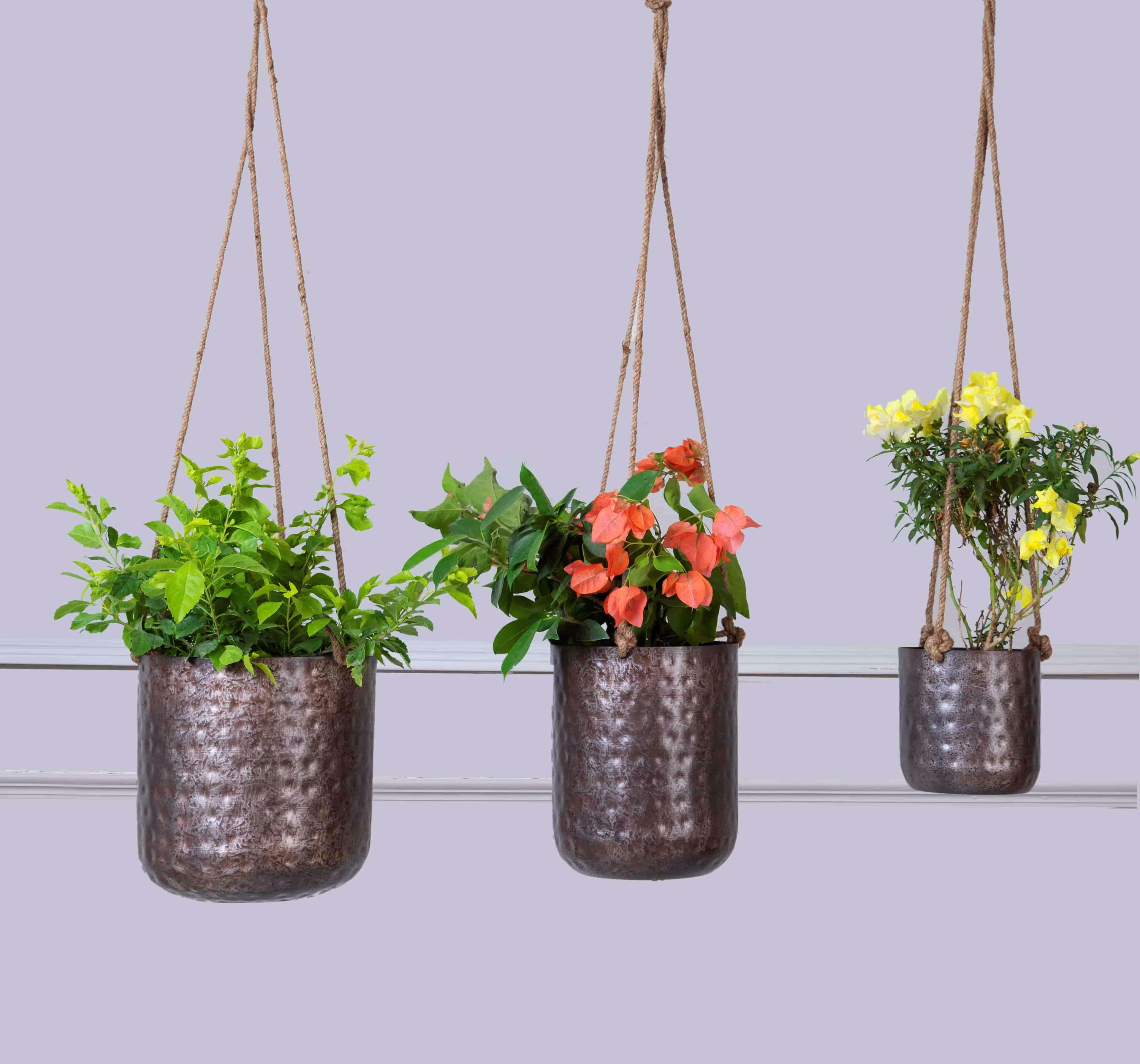 Indoor Planter With Rustic Silver Finish Hammered | Hanging Plant Pot "Rajat