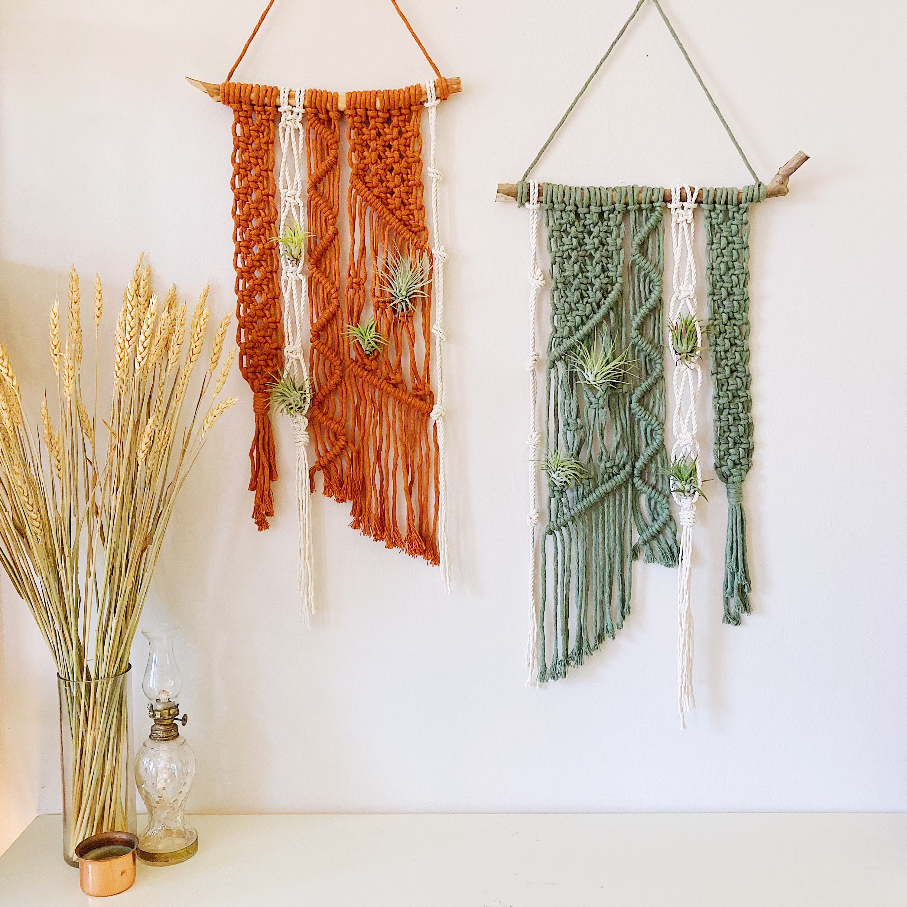 Air Plants & Plant Holder Set/Air Hanger/Macrame Hanger/Unique Display/Air Terrarium/Plant Hanger/Boho