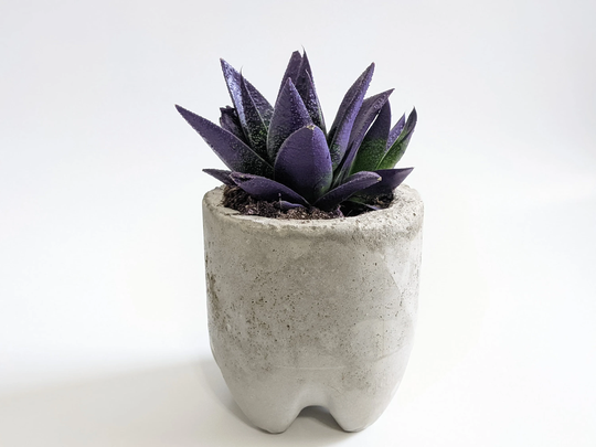 Concrete Planter | Modern & Minimal Home Décor