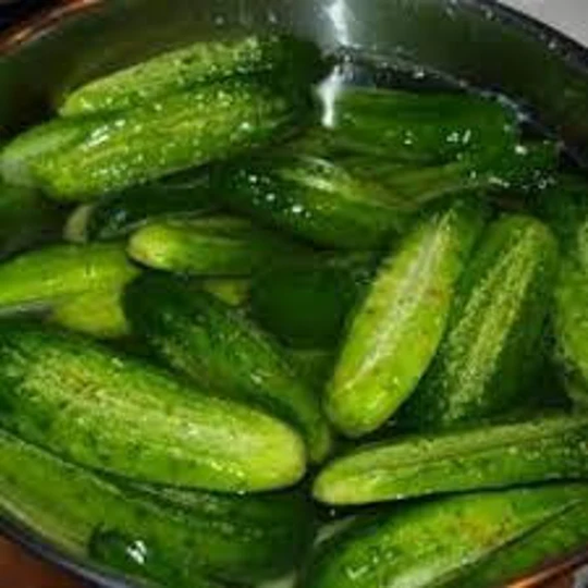 Reliable Cucumber, Us Seeds Organic Heirloom Non Gmo, Free With Order