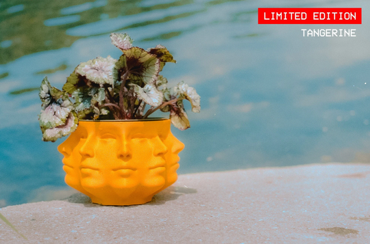 3D Printed Polyface Planter