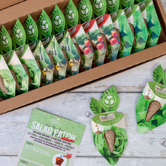 Salad Patch Seedcell Selection Box