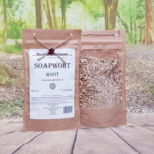 Soapwort Root | Saponaria Officinalis L Health Embassy Natural Herbal Tea
