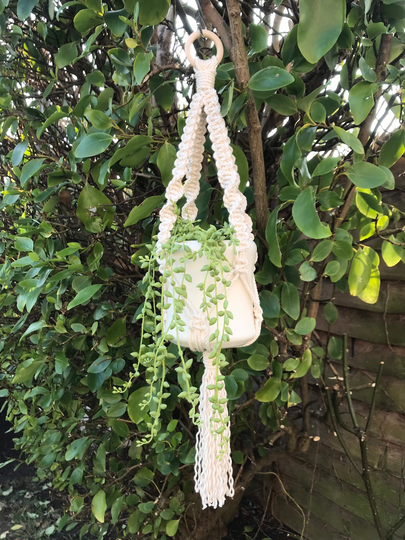 Macramé Plant Hanger | Pot Holder Mothers Day Gift Houseplants Home Gifts