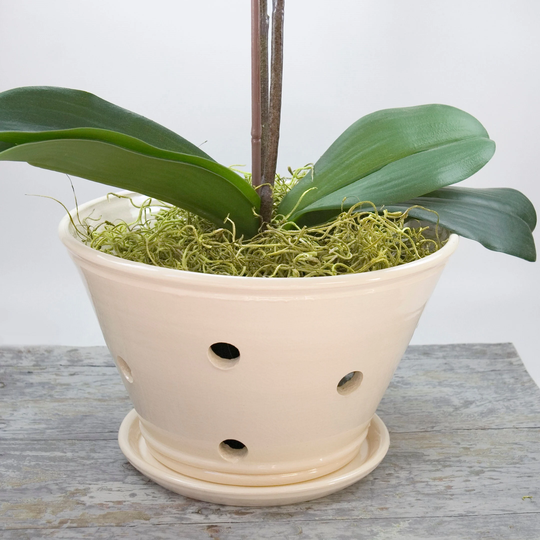 8 Inch Orchid Planter & Saucer, Large Off-White Handmade With Extra Holes For Root Health, Cream Glazed Planter, Ready To Send
