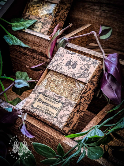 Meadowsweet Flowers - Organic | Dried Magical Herbs For Traditional Witchcraft & Folk Magic Love, Peace, Calm, Sweet, Protection, Courage